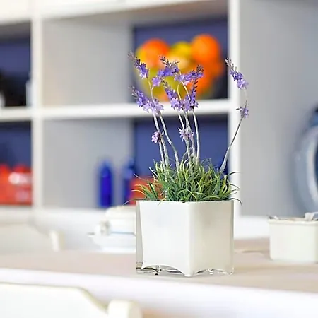 Aparthotel Solverde 4*